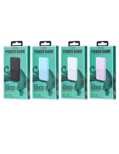 Išorinė baterija (Powerbank) REMAX RPP-23 10000mAh 2.4A 2×USB, šviesiai mėlyna 2