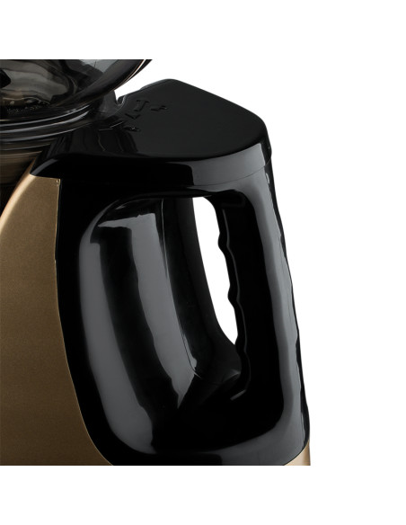 Lėtaeigė sulčiaspaudė RAF R.2838