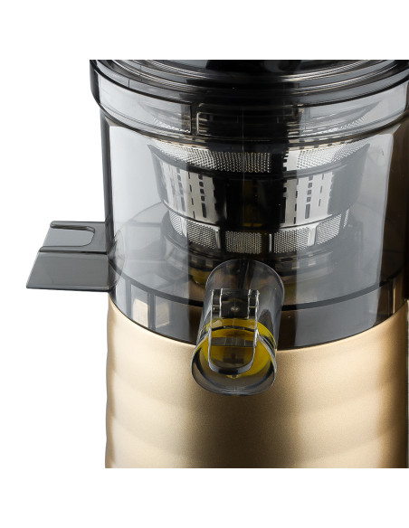 Slow Juicer RAF R.2838