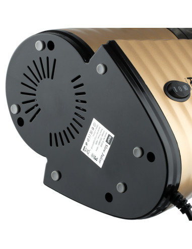 Lėtaeigė sulčiaspaudė RAF R.2838