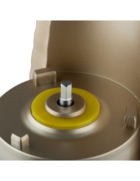 Lėtaeigė sulčiaspaudė RAF R.2838