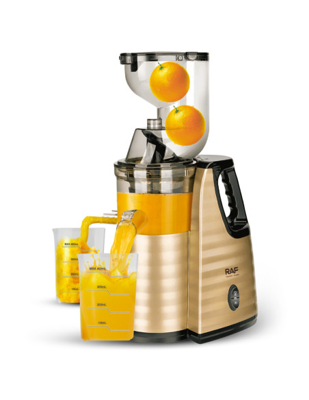 Slow Juicer RAF R.2838