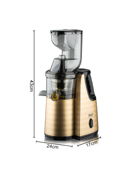 Slow Juicer RAF R.2838