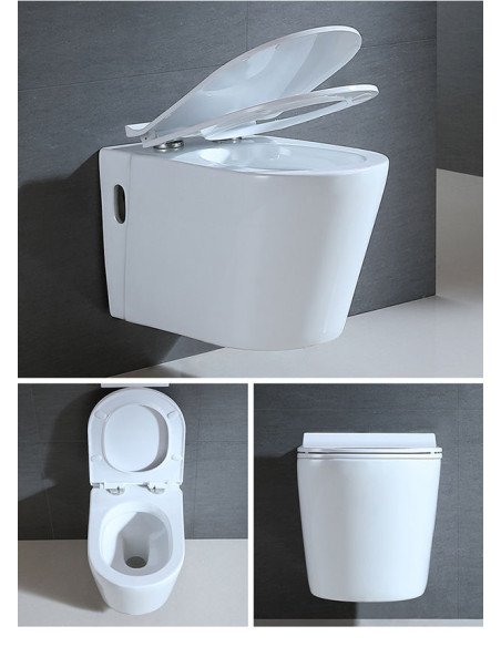 FIT2 7007 wall-hung toilet multiple views collage with seat and rear angle