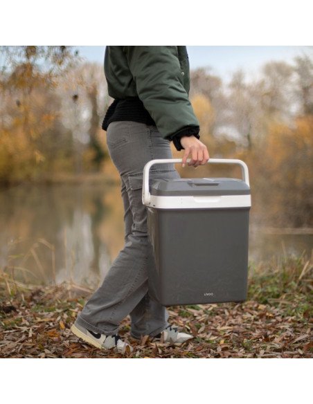 Livoo SEP143 portable cooler carried outdoors by lake