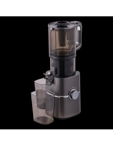 Hausberg HB-7518GR cold-press slow juicer with cups, graphite