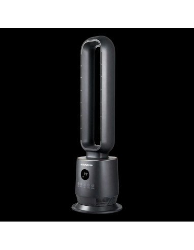 Bokšto ventiliatorius Hausberg HB-5956GR su skaitmeniniu ekranu