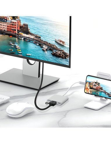 USB-C 3-in-1 adapter ports detail