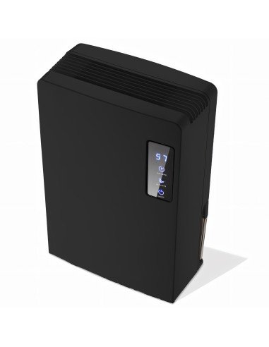 Dehumidifier removable water tank