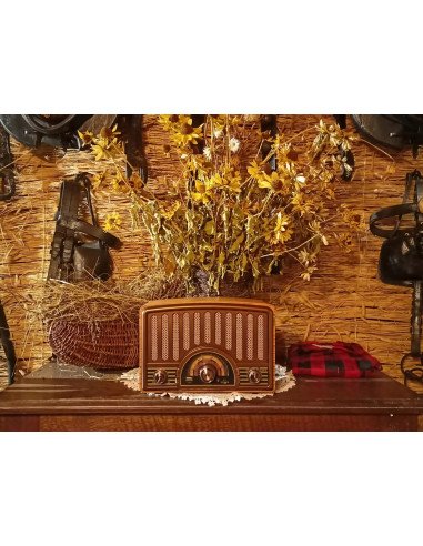 Retropolis Memphis retro radio with Bluetooth - 3