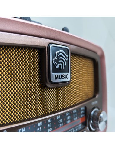 Nešiojamas retro radijas AM/FM/SW, Bluetooth, USB, SD