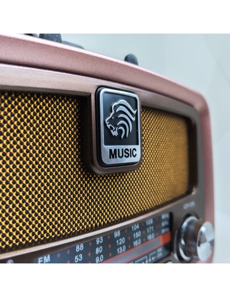 Nešiojamas retro radijas AM/FM/SW, Bluetooth, USB, SD