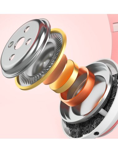 40 mm garsiakalbio sandara