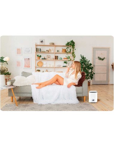 Berdsen BD-502 air humidifier white - photo 8