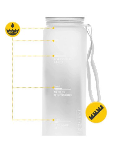 4FIZJO Sports Water Bottle 650 ml Grey - Tritan, BPA Free