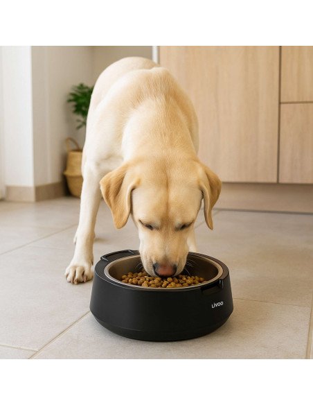 Livoo PET109N Pet Bowl with Scale 800 ml Stainless Steel Black