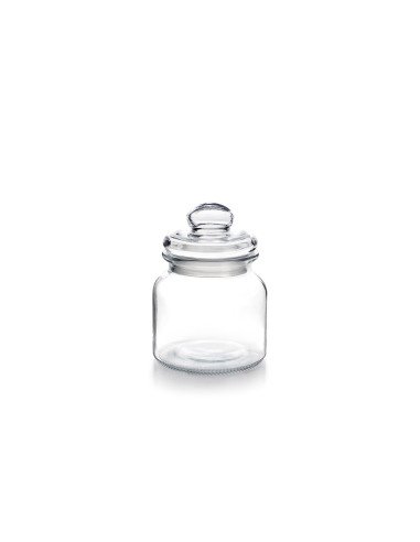 Stiklinis indelis IBILI Vintage 650 ml su dangteliu